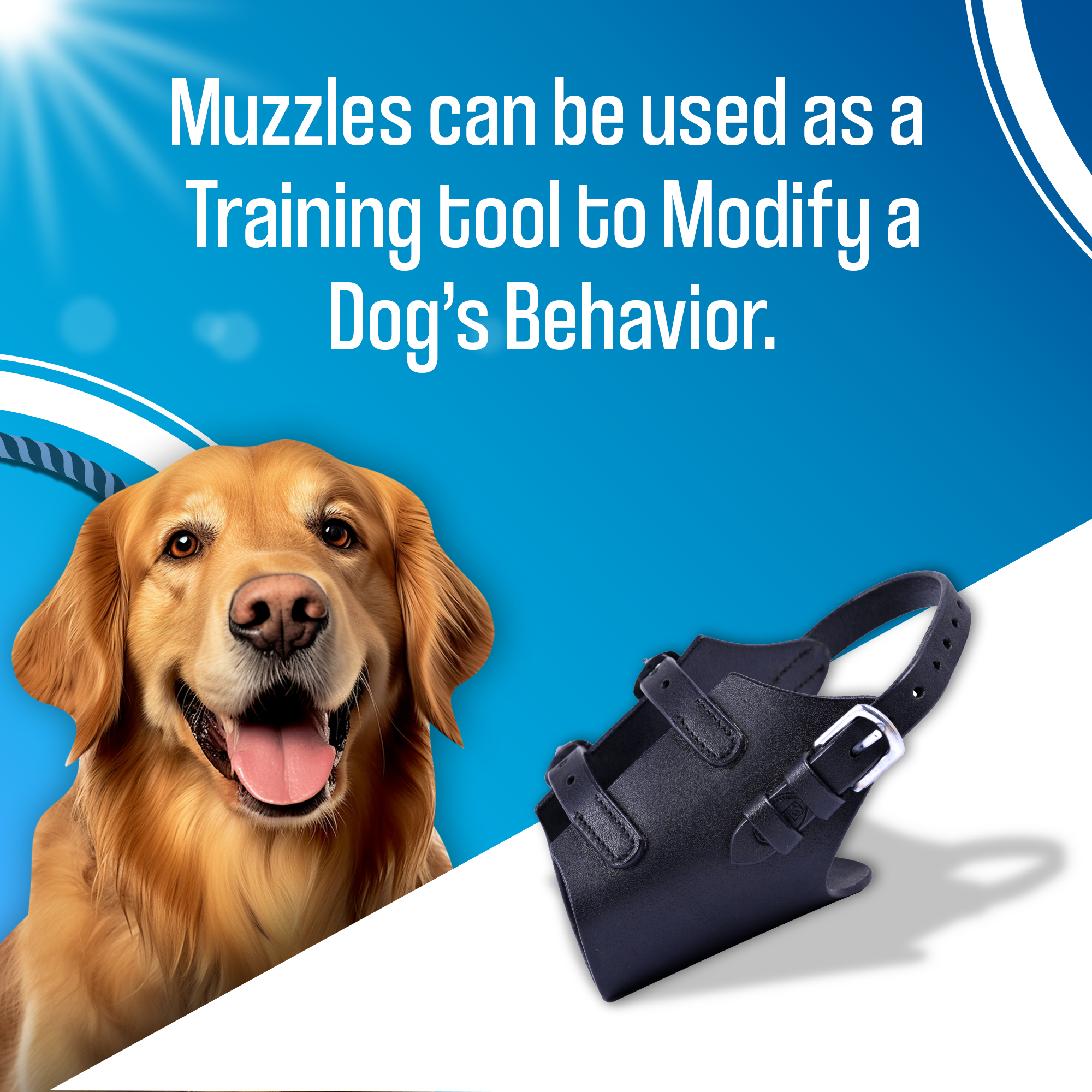 Adils Leather Dog Basket Muzzle for Aggressive Reactive Dogs, anti Biting and Perfect for Grooming and Training